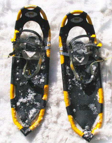 Snow Shoes